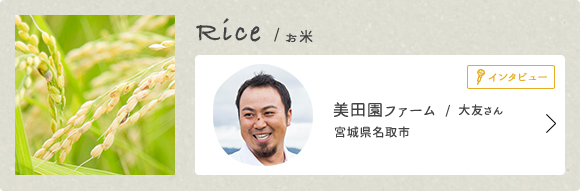 [インタビュー] Rice（お米） 美田園ファーム/大友さん