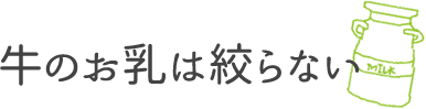 牛のお乳は絞らない