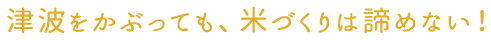 津波をかぶっても、米づくりは諦めない！