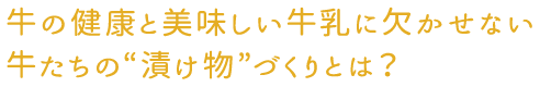 牛の健康と美味しい牛乳に欠かせない、牛たちの「漬け物」づくりとは？