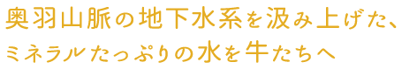 奥羽山脈の地下水系を汲み上げた、ミネラルたっぷりの水を牛たちへ